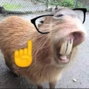 Bichito de lux