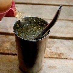 terere naranja mango