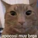Micho Tito Gordo