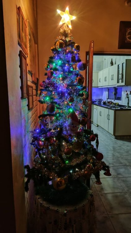 Imagen de WhatsApp 2025-12-11 a las 22.03.35_76cd9b77.jpg