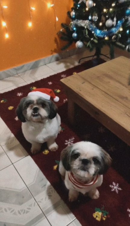 Screenshot_20251209_175947_Video Player.jpg