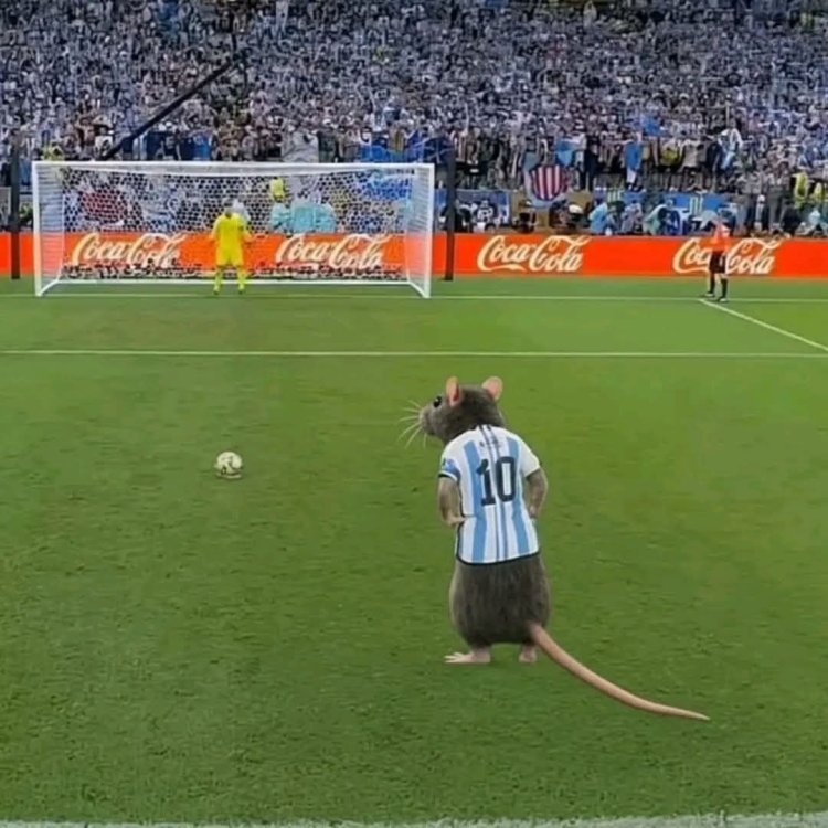 penal para fressi.jpeg