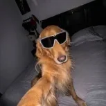 Gu4rrero.exe